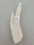 Ram Horn Selenite