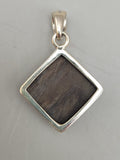 Canadian Petrified Wood Pendant Set in .925 Sterling Silver