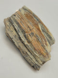 Canadian Petrified Wood Fish Lake, NWT