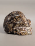 Canadian Staurolite & Garnet Skull Carving Kinbasket, B.C.