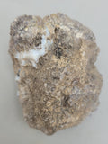 Canadian Opal In Matrix~ Burns Lake, B.C.