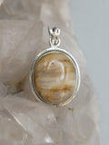 Canadian Petrified Wood Pendant Set in .925 Sterling Silver