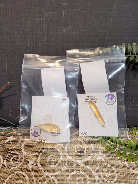 13958  October 25th 2025 Live