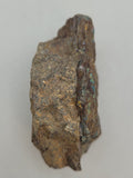 Canadian Chalcopyrite~ Tofino, B.C.