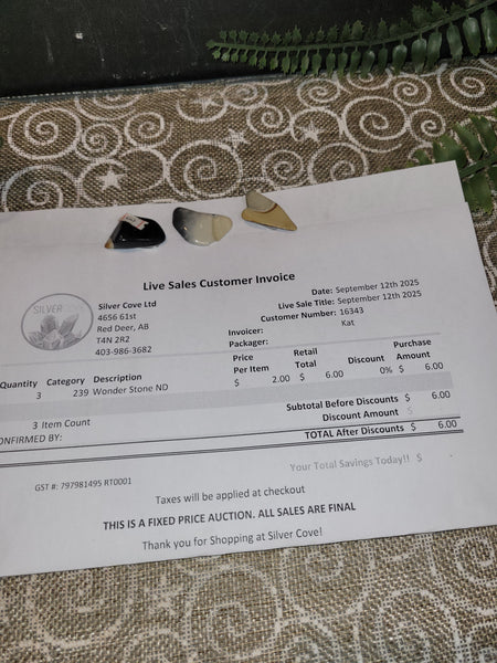 16343 September 12th 2025 Live