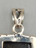 Canadian Petrified Wood Pendant Set in .925 Sterling Silver