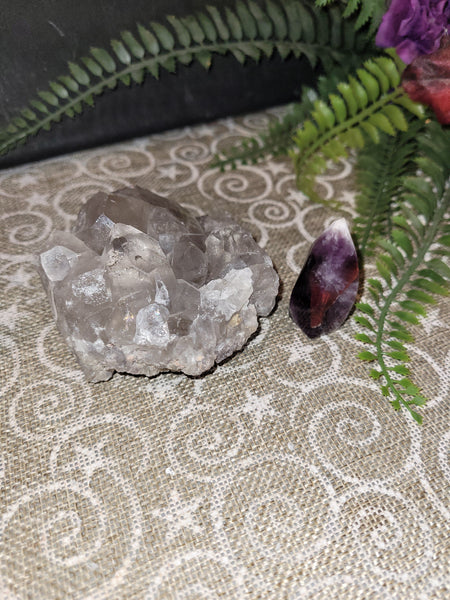 16667 October 20th 2025 Live