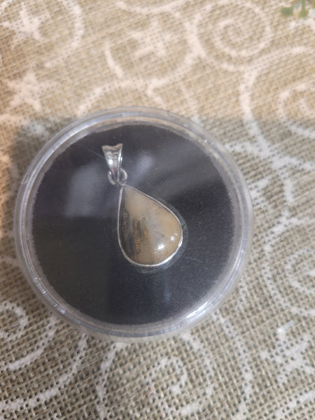 16862 November 1 Live