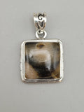 Canadian Petrified Wood Pendant Set in .925 Sterling Silver