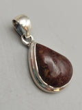 Canadian Petrified Wood Pendant Set in .925 Sterling Silver