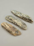 Green Kyanite Specimen