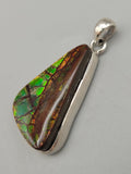 Canadian Ammolite Pendant Set in .925 Sterling Silver