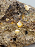 Canadian Opal In Matrix~ Burns Lake, B.C.