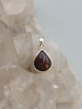 Canadian Petrified Wood Pendant Set in .925 Sterling Silver