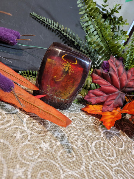 15047 October26th 2025 Live