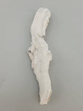 Ram Horn Selenite