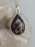 Canadian Petrified Wood Pendant Set in .925 Sterling Silver