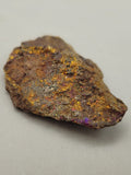 Canadian Chalcopyrite~ Tofino, B.C.