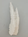 Ram Horn Selenite