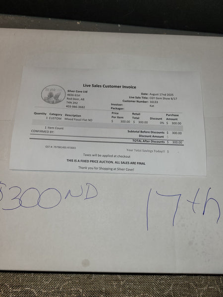 16133 August 17th Calgary Show Live 2025