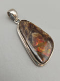 Canadian Ammolite Pendant Set in .925 Sterling Silver