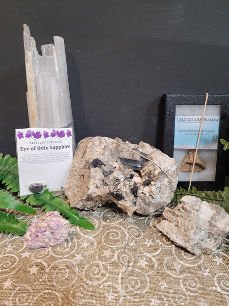 16835 November 3 Live