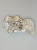 Chlorite In Quartz Aka Garden Quartz