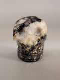 Canadian Staurolite & Garnet Skull Carving Kinbasket, B.C.