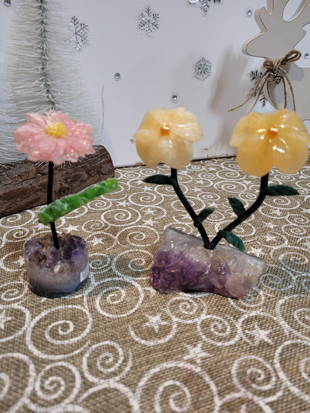 16112 March 30th 2025 Live