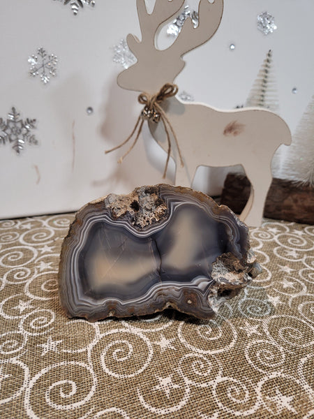 16769 March 3rd 2025 Live