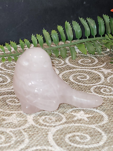 allabouthehorse September 21st 2025 Live