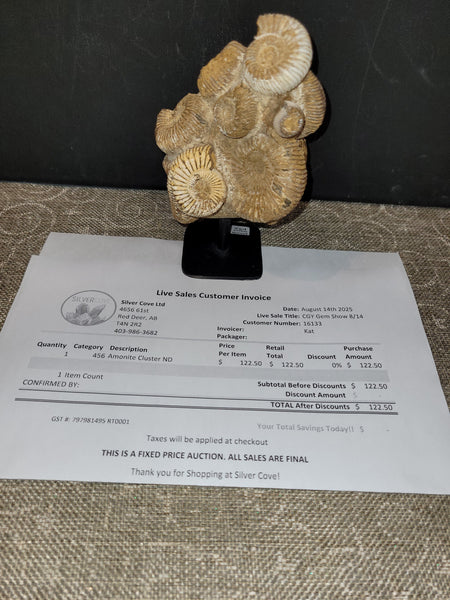 16133 August 14th Calgary Show Live 2025