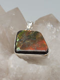 Canadian Ammolite Pendant Set in .925 Sterling Silver