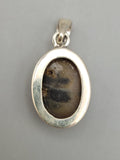 Canadian Petrified Wood Pendant Set in .925 Sterling Silver