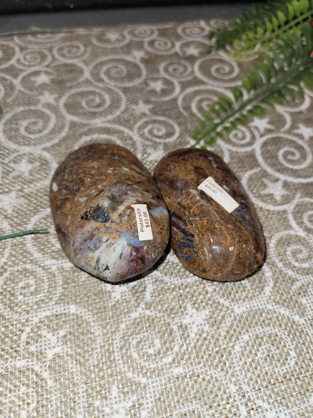 16844 October 4th 2025 Live