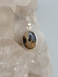 Canadian Petrified Wood Pendant Set in .925 Sterling Silver
