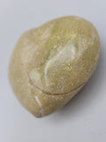 Serpentine Heart