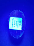 Canadian Hackmanite & Ijolite Cabochon~Ice River Complex, BC