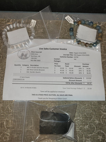 16790 August 22nd Edmonton Live Show 2025