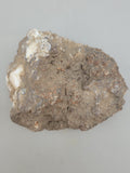 Canadian Opal In Matrix~ Burns Lake, B.C.