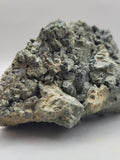Canadian Actinolite~ Bancroft, ON