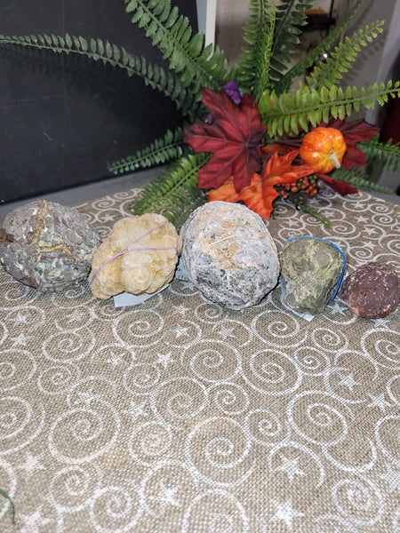 16847 October 6th 2025 Live