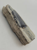 Canadian Petrified Wood Fish Lake, NWT