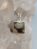 Canadian Petrified Wood Pendant Set in .925 Sterling Silver