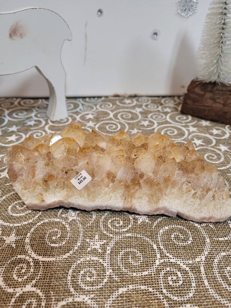 15887 March 16th 2025 Live