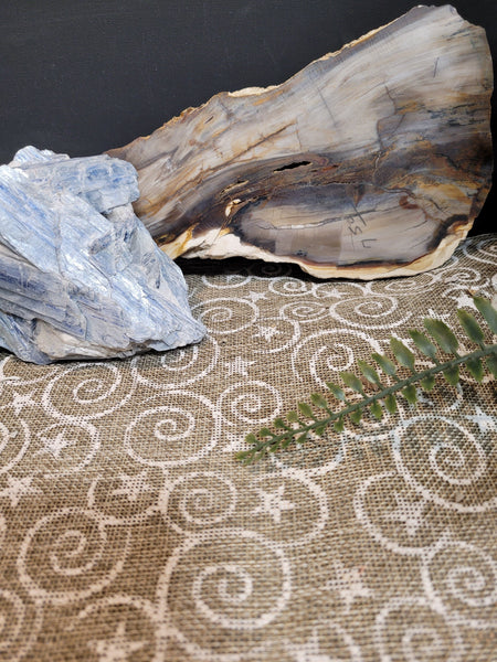 10106 November 5 Live