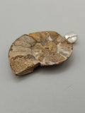 Ammonite Pendant