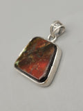 Canadian Ammolite Pendant Set in .925 Sterling Silver
