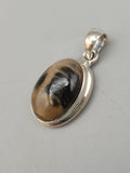 Canadian Petrified Wood Pendant Set in .925 Sterling Silver