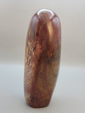 Petrified Wood Free Form